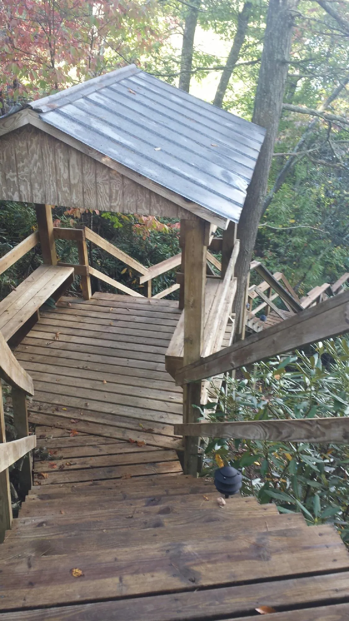 Metal roofed shelter over wooden steps on a wooded walkway — Skylight Repair & Installation work by our crew in Ivydale